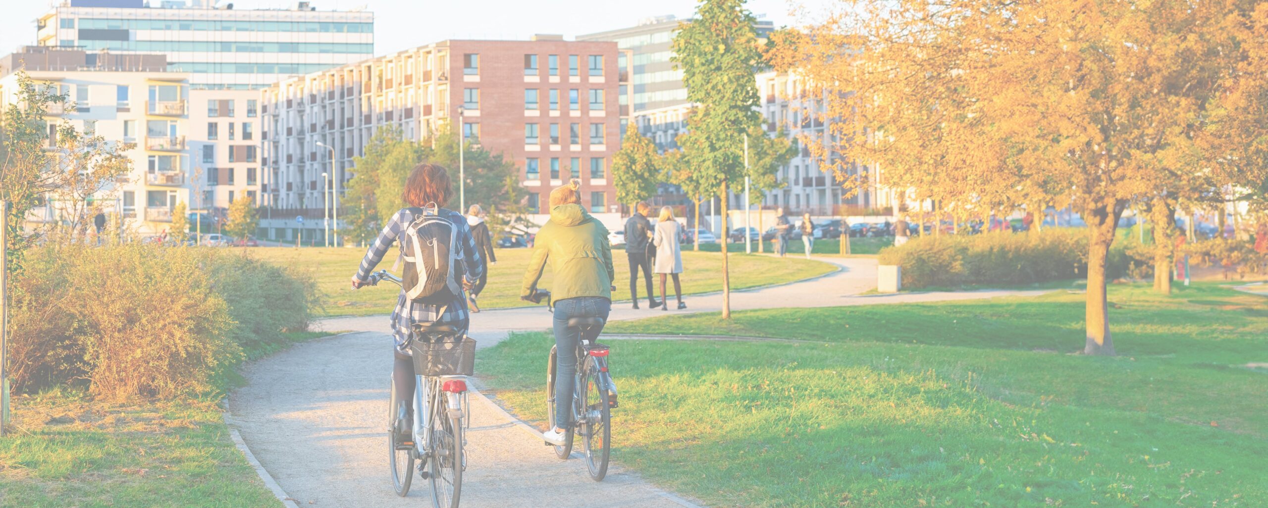 Bicycles on Pathway