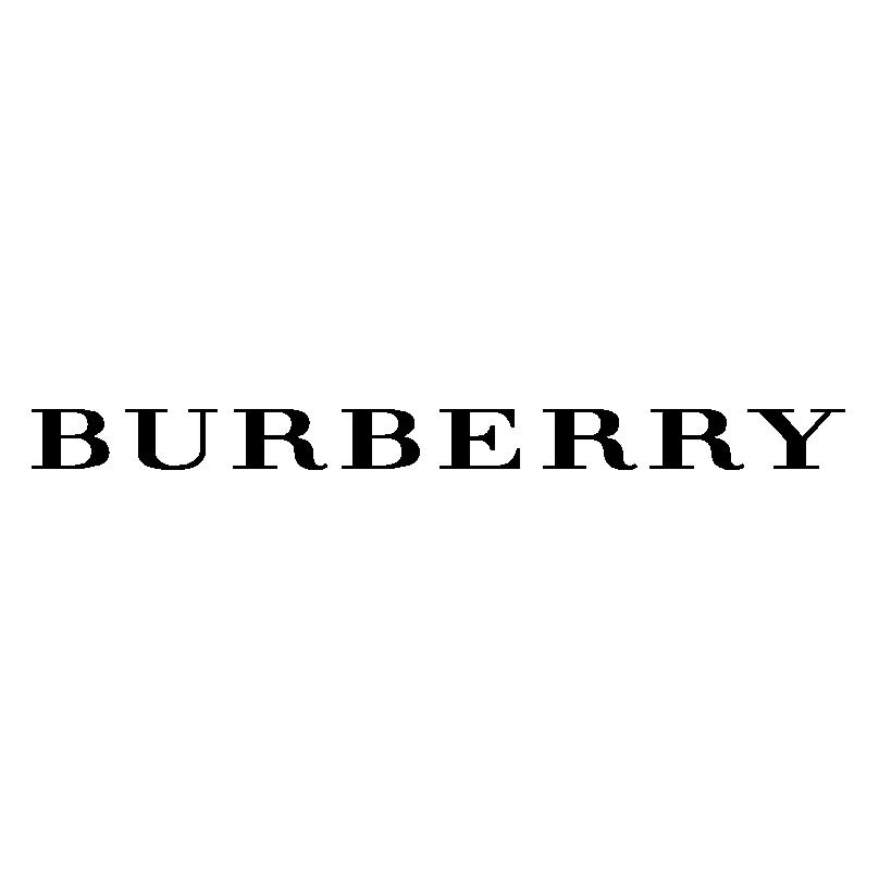 burberry inc